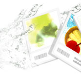 flashweb-thumb