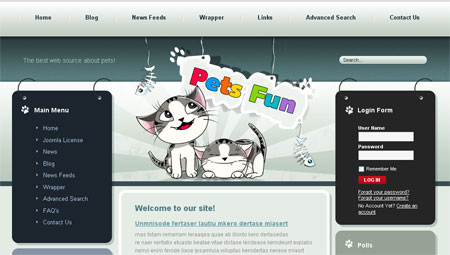 Pets Fun - Above the Fold